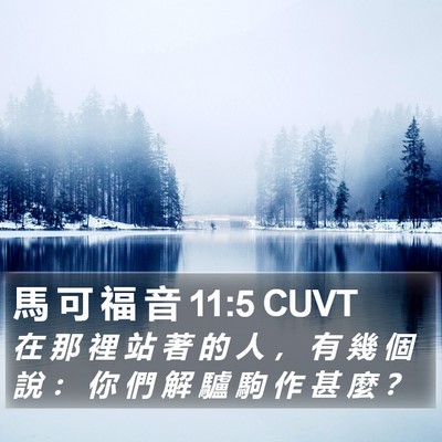 馬 可 福 音 11:5 CUVT Bible Verse Image