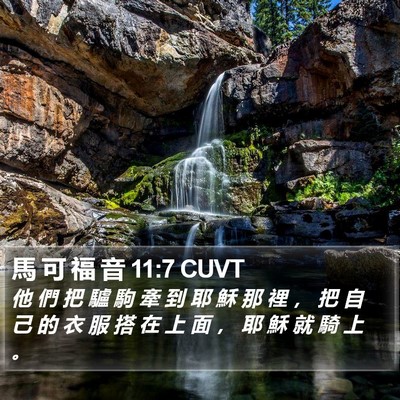 馬 可 福 音 11:7 CUVT Bible Verse Image