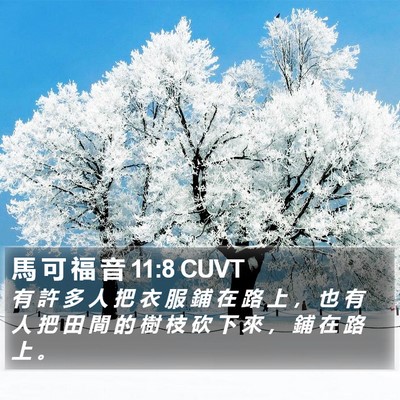 馬 可 福 音 11:8 CUVT Bible Verse Image
