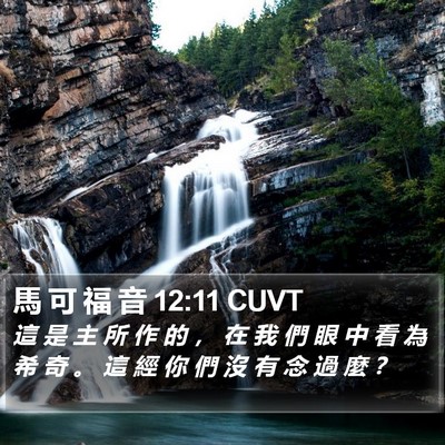 馬 可 福 音 12:11 CUVT Bible Verse Image
