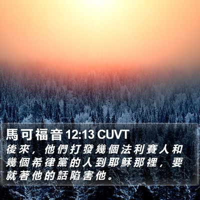馬 可 福 音 12:13 CUVT Bible Verse Image
