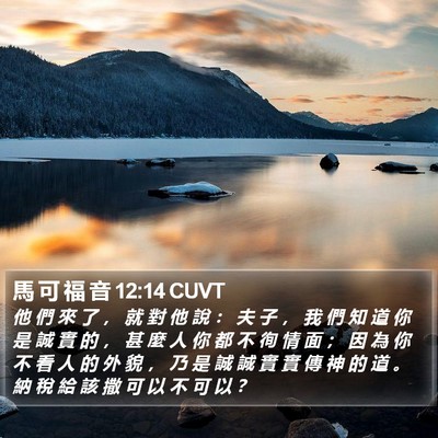 馬 可 福 音 12:14 CUVT Bible Verse Image