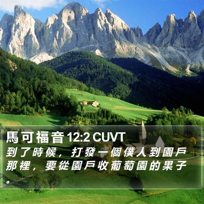 馬 可 福 音 12:2 CUVT Bible Verse Image