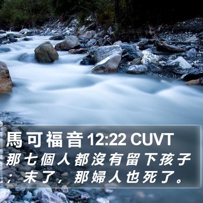 馬 可 福 音 12:22 CUVT Bible Verse Image