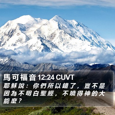 馬 可 福 音 12:24 CUVT Bible Verse Image