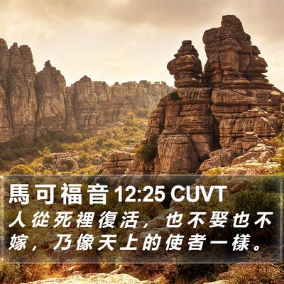 馬 可 福 音 12:25 CUVT Bible Verse Image