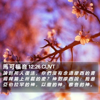 馬 可 福 音 12:26 CUVT Bible Verse Image