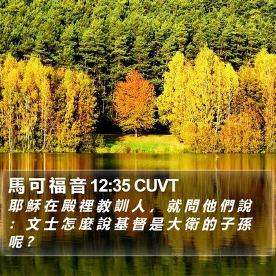 馬 可 福 音 12:35 CUVT Bible Verse Image