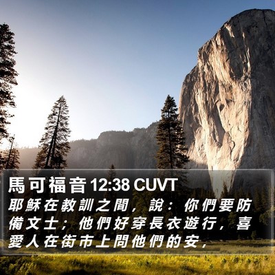 馬 可 福 音 12:38 CUVT Bible Verse Image