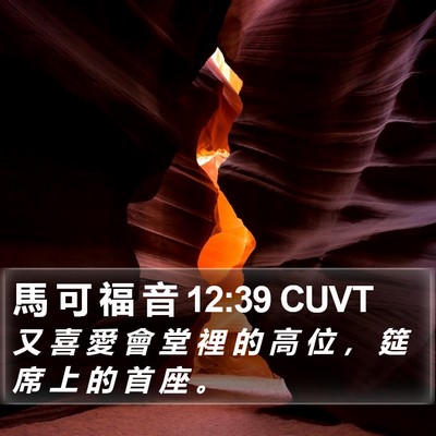馬 可 福 音 12:39 CUVT Bible Verse Image