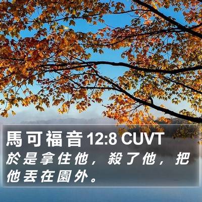 馬 可 福 音 12:8 CUVT Bible Verse Image