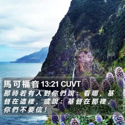 馬 可 福 音 13:21 CUVT Bible Verse Image
