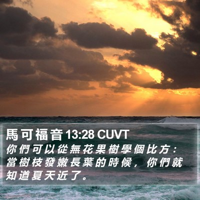 馬 可 福 音 13:28 CUVT Bible Verse Image