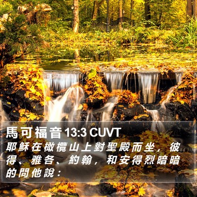 馬 可 福 音 13:3 CUVT Bible Verse Image