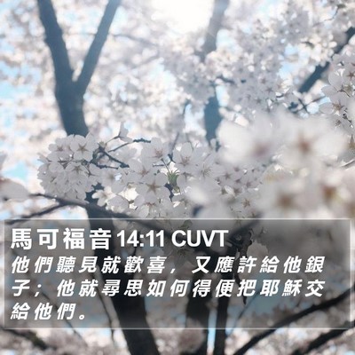 馬 可 福 音 14:11 CUVT Bible Verse Image
