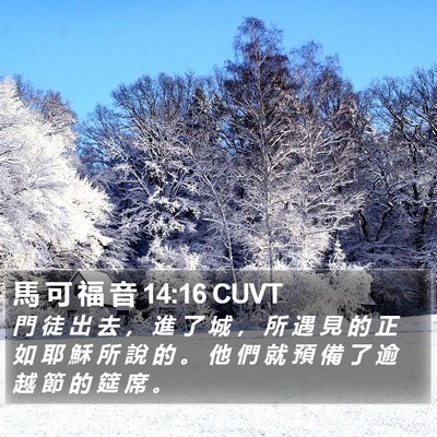 馬 可 福 音 14:16 CUVT Bible Verse Image