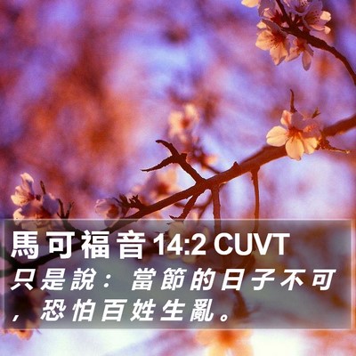 馬 可 福 音 14:2 CUVT Bible Verse Image