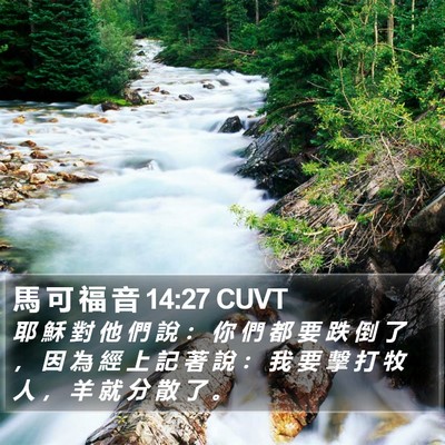 馬 可 福 音 14:27 CUVT Bible Verse Image