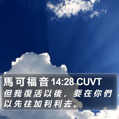 馬 可 福 音 14:28 CUVT Bible Verse Image