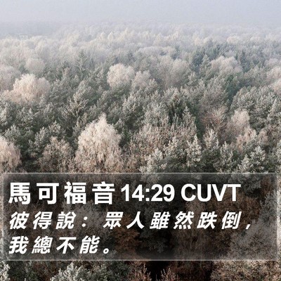 馬 可 福 音 14:29 CUVT Bible Verse Image