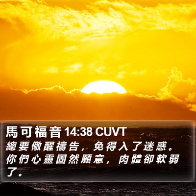 馬 可 福 音 14:38 CUVT Bible Verse Image
