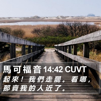 馬 可 福 音 14:42 CUVT Bible Verse Image