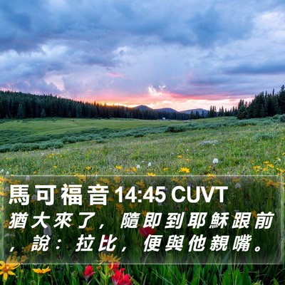 馬 可 福 音 14:45 CUVT Bible Verse Image