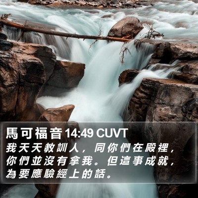 馬 可 福 音 14:49 CUVT Bible Verse Image