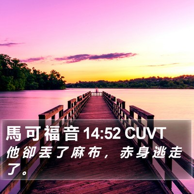 馬 可 福 音 14:52 CUVT Bible Verse Image