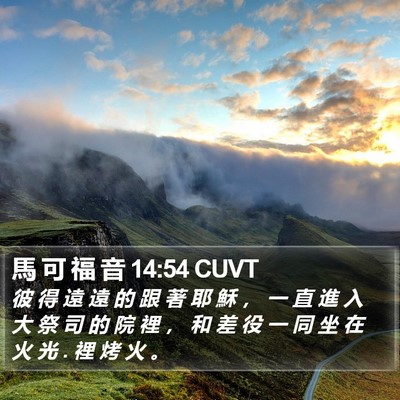 馬 可 福 音 14:54 CUVT Bible Verse Image