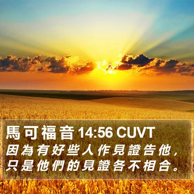 馬 可 福 音 14:56 CUVT Bible Verse Image