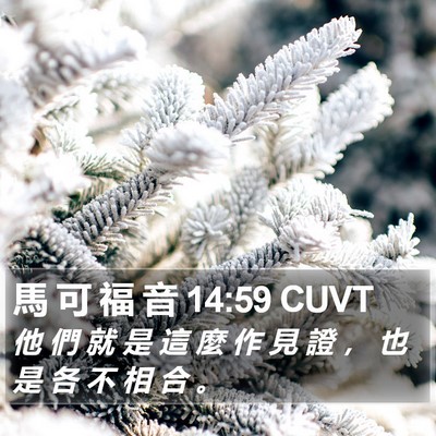 馬 可 福 音 14:59 CUVT Bible Verse Image