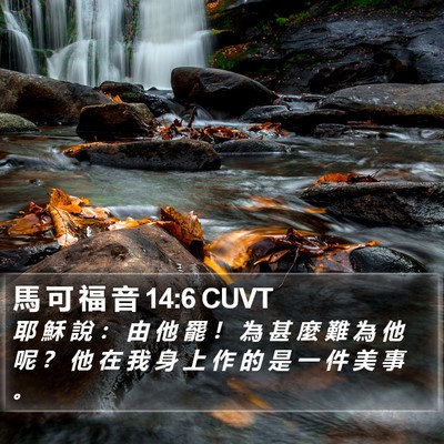 馬 可 福 音 14:6 CUVT Bible Verse Image