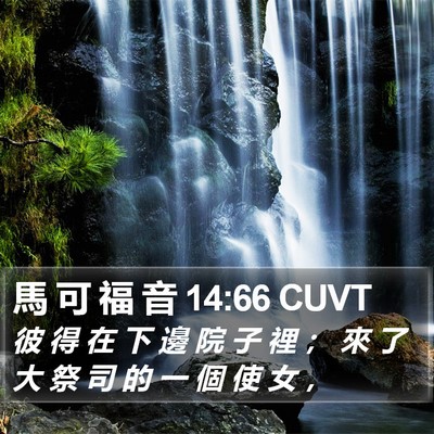 馬 可 福 音 14:66 CUVT Bible Verse Image