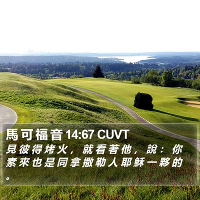 馬 可 福 音 14:67 CUVT Bible Verse Image