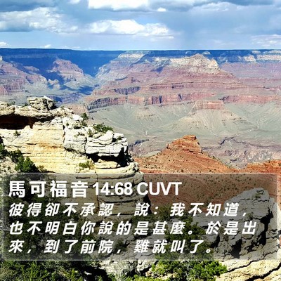馬 可 福 音 14:68 CUVT Bible Verse Image