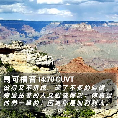 馬 可 福 音 14:70 CUVT Bible Verse Image