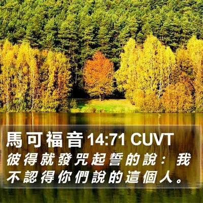 馬 可 福 音 14:71 CUVT Bible Verse Image