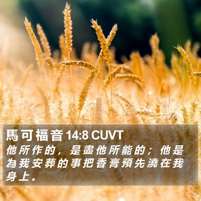 馬 可 福 音 14:8 CUVT Bible Verse Image