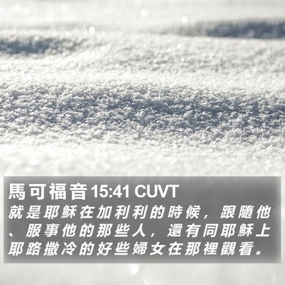 馬 可 福 音 15:41 CUVT Bible Verse Image