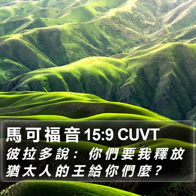 馬 可 福 音 15:9 CUVT Bible Verse Image