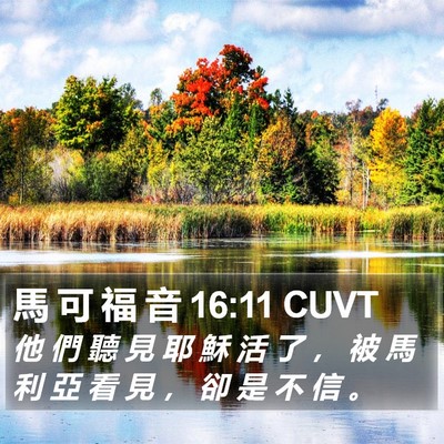馬 可 福 音 16:11 CUVT Bible Verse Image