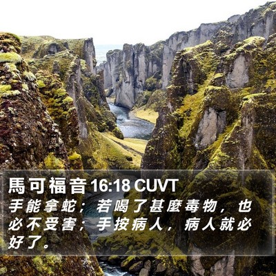 馬 可 福 音 16:18 CUVT Bible Verse Image