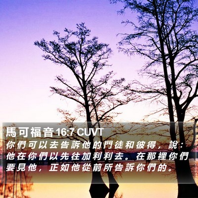 馬 可 福 音 16:7 CUVT Bible Verse Image