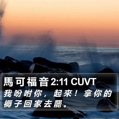 馬 可 福 音 2:11 CUVT Bible Verse Image