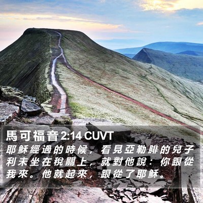 馬 可 福 音 2:14 CUVT Bible Verse Image