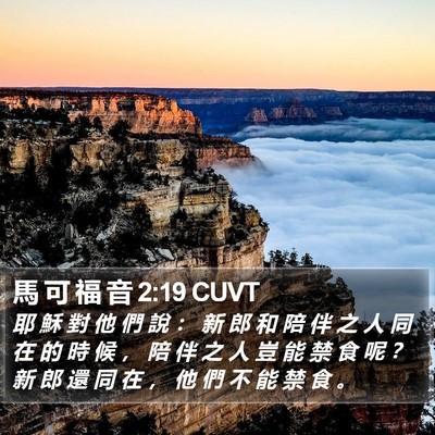 馬 可 福 音 2:19 CUVT Bible Verse Image