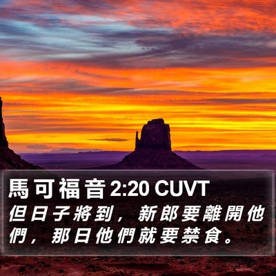 馬 可 福 音 2:20 CUVT Bible Verse Image