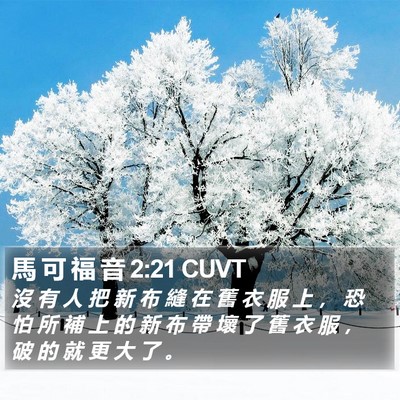 馬 可 福 音 2:21 CUVT Bible Verse Image