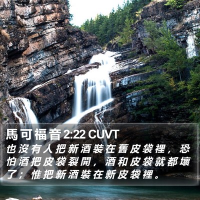 馬 可 福 音 2:22 CUVT Bible Verse Image